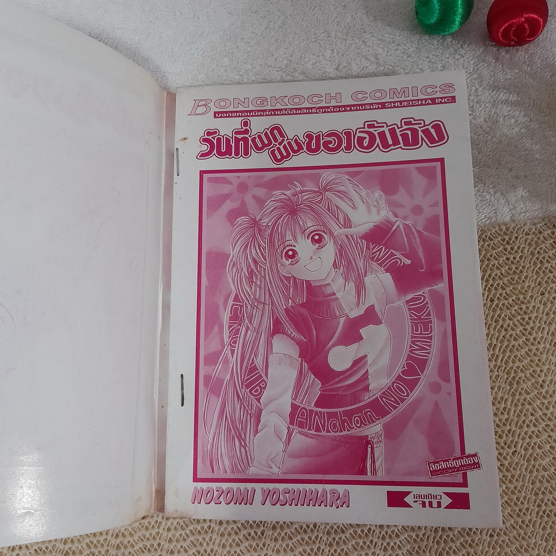 วันที่ผกผันของอันจัง / Nozomi Yoshihara