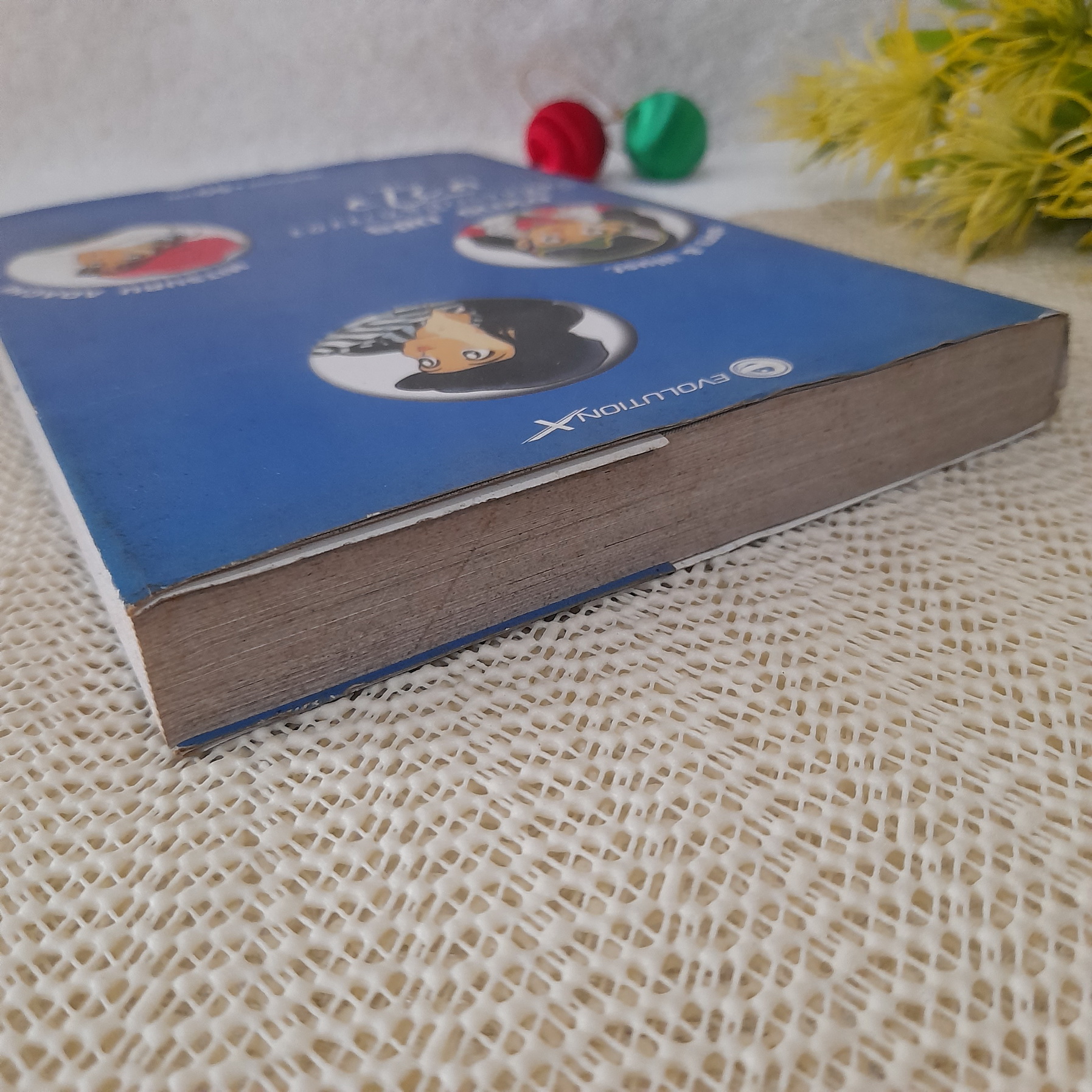 บันทึการเดินทางของหัวใจ Love Story / อาดาจิ มิซึรุ