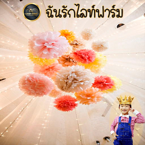 โคมกระดาษ , พู่กระดาษ ,ธงราวปาร์ตี้ ของตกแต่งแบบต่างๆ