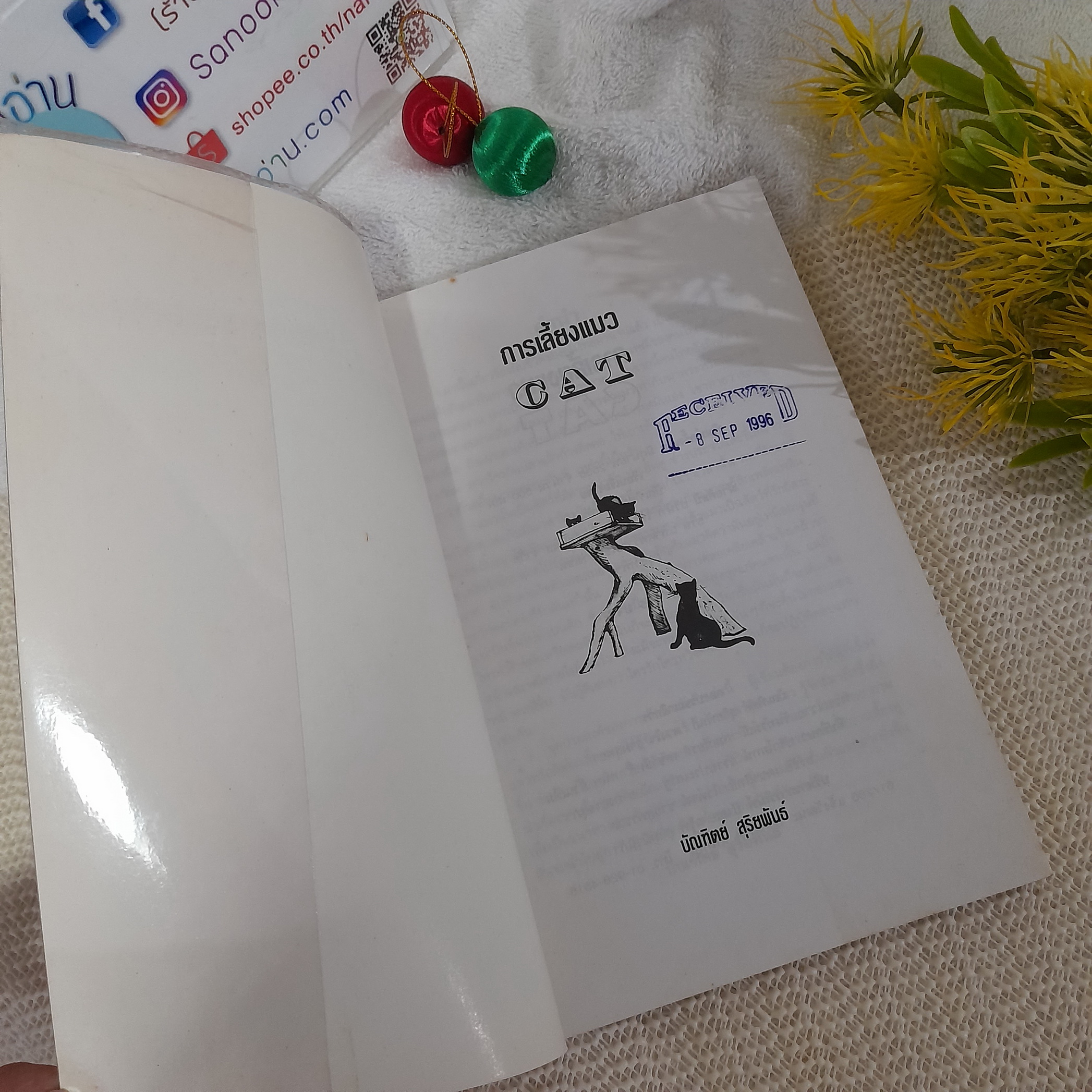 การเลี้ยงแมว / บัณฑิตย์ สุริยพันธ์