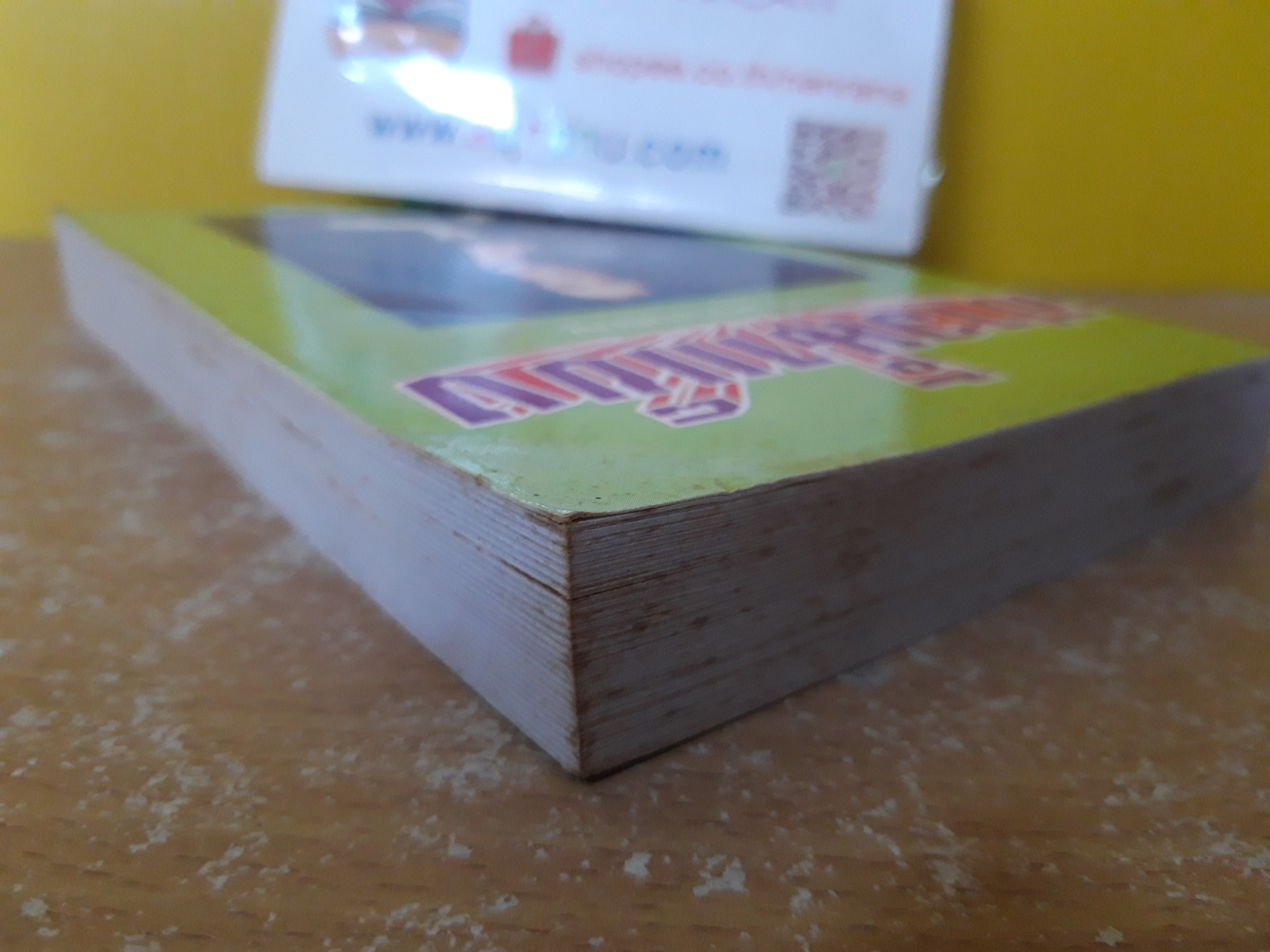 สาวน้ำแข็ง / จามรี พรรณชมพู