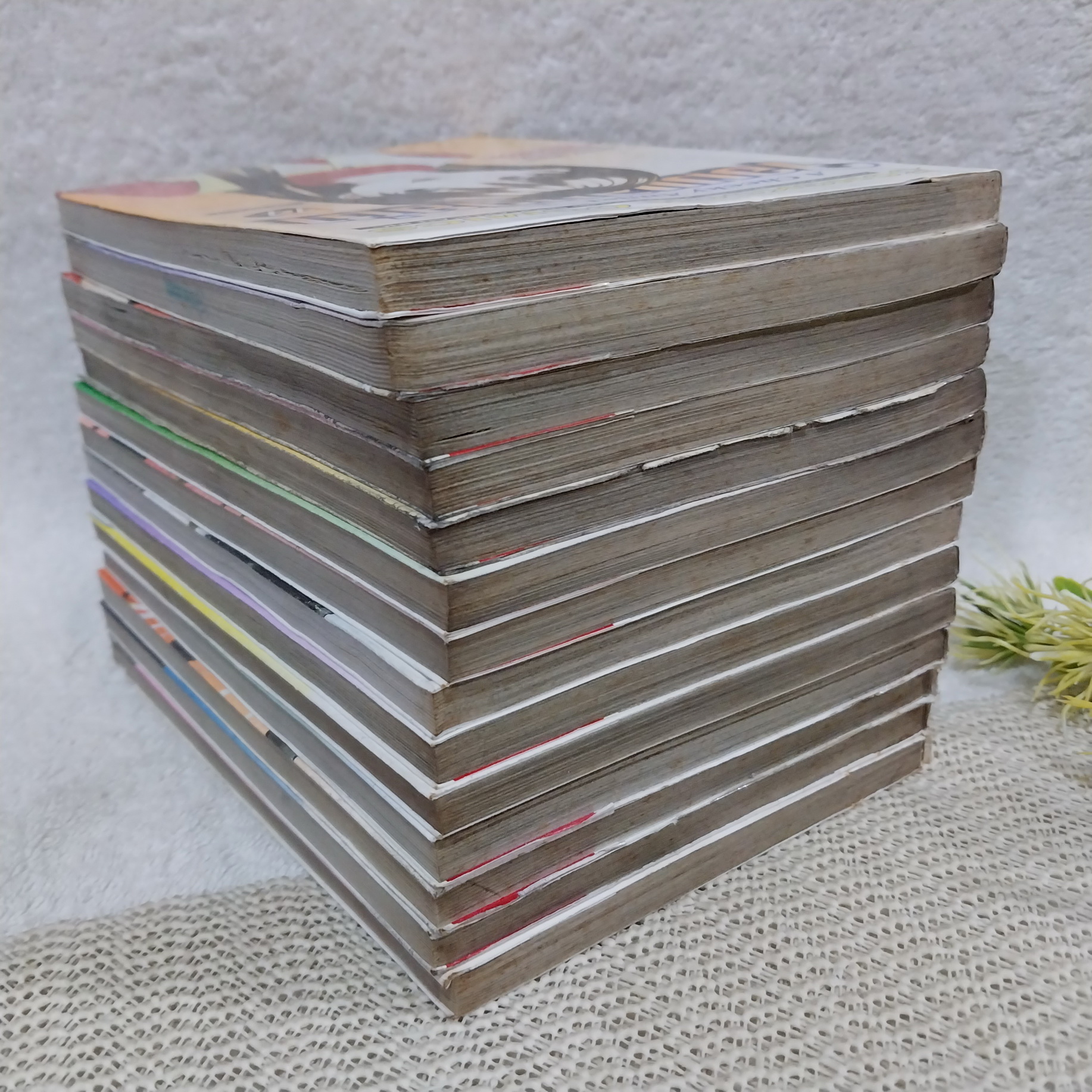 A Cheeky Angel จอมแสบวัยซ่า 1-14 ไม่จบ / * ขาดเล่ม 15-20 / Hiroyuki Nishimori