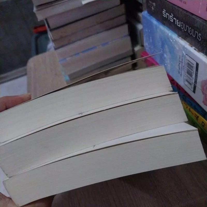 นิยายชุดพรหมลิขิตรัก ภาค วาสนาพานพบ 1-3 จบ
