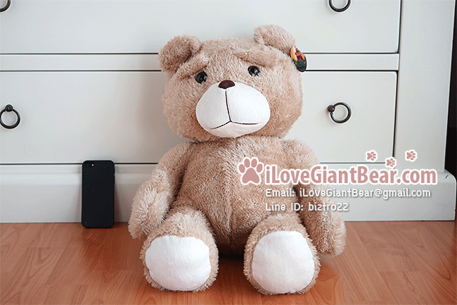 ตุ๊กตาหมี TED เปลือย (Body) ไซค์ใหญ่ 60cm จากหนังเรื่อง TED หมีไม่แอ๊บ แสบได้อีก