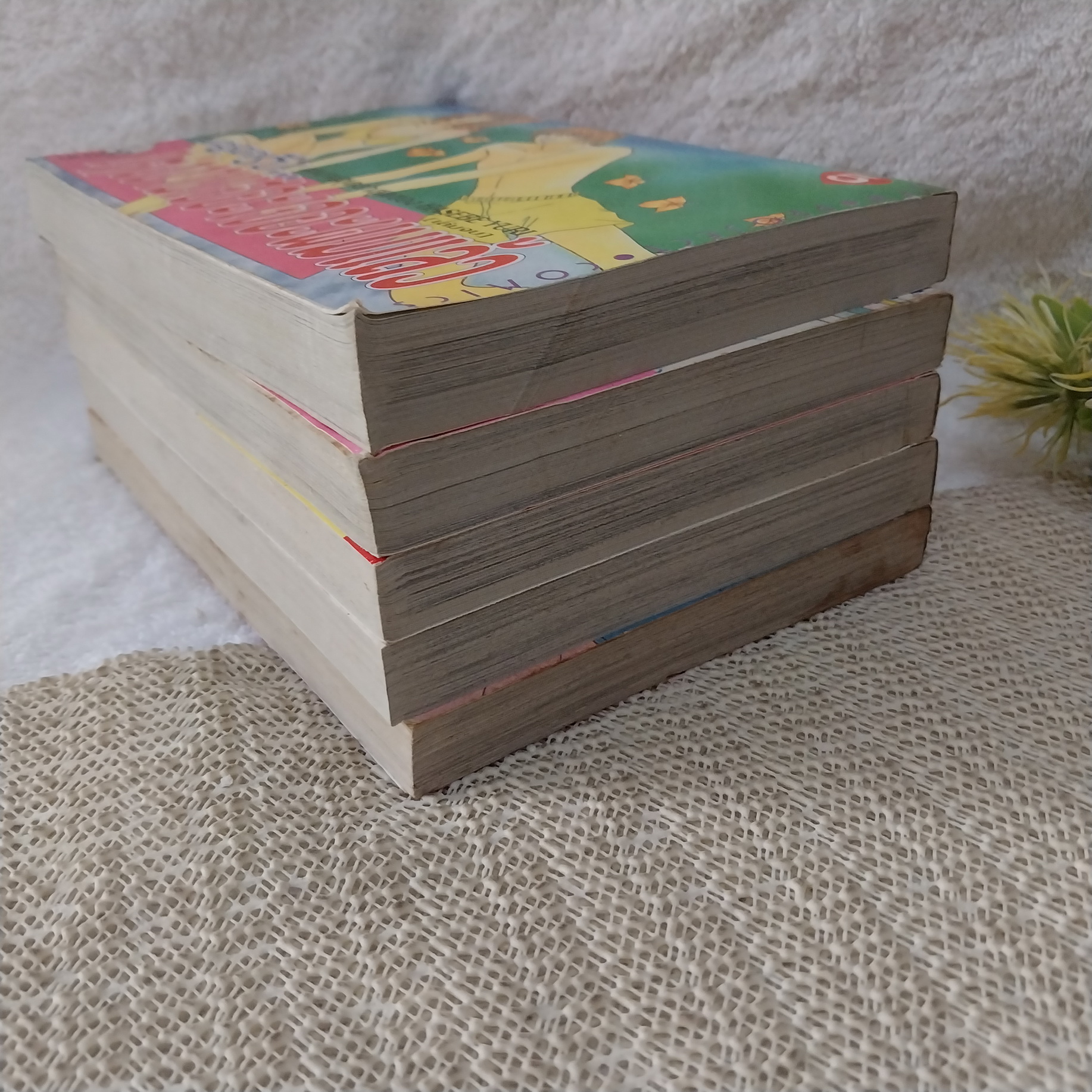 ครูครับแต่งงานเฮอะเจอะผมแล้ว 1-5 จบ