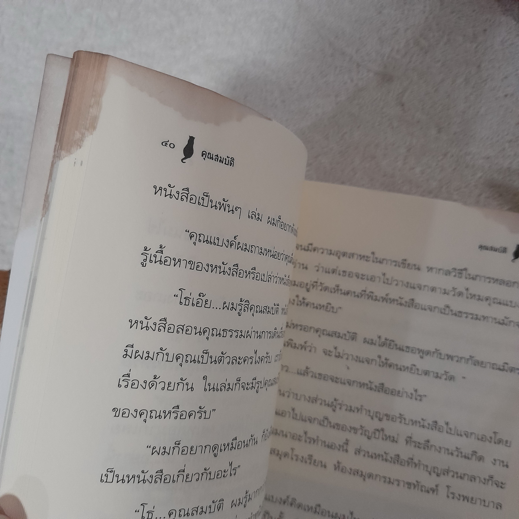 คุณสมบัติ สื่อธรรมะจากอดีตแมวพลัดถิ่น / พุดซ้อน