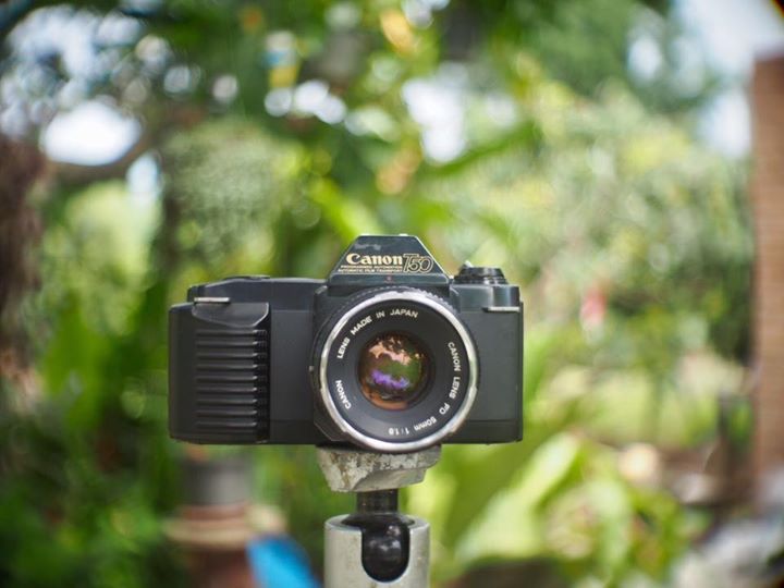 CANON T50 CANON LENS FD 50MM.F1.8