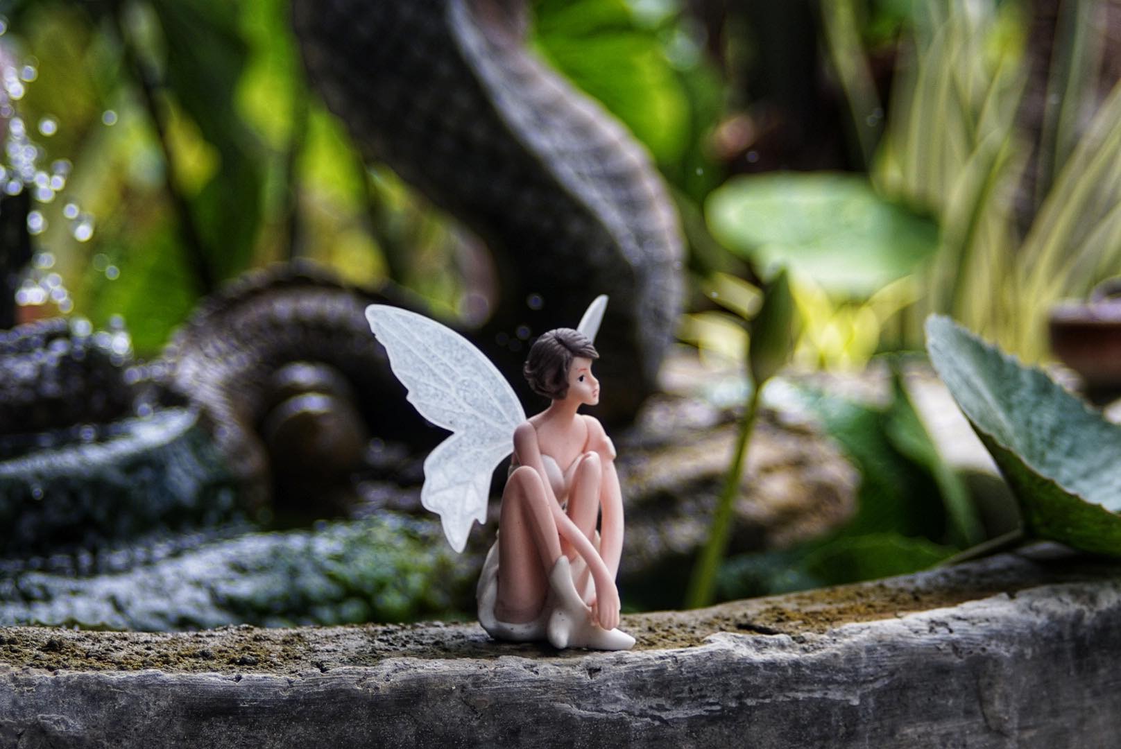 SMC PENTAX-M ZOOM 40-80MM.F2.8-4 MACRO