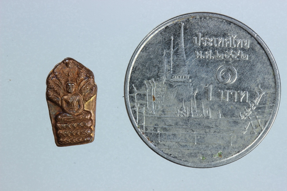 ปรกหลวงปู่คำพันธ์ อายุ77ปี