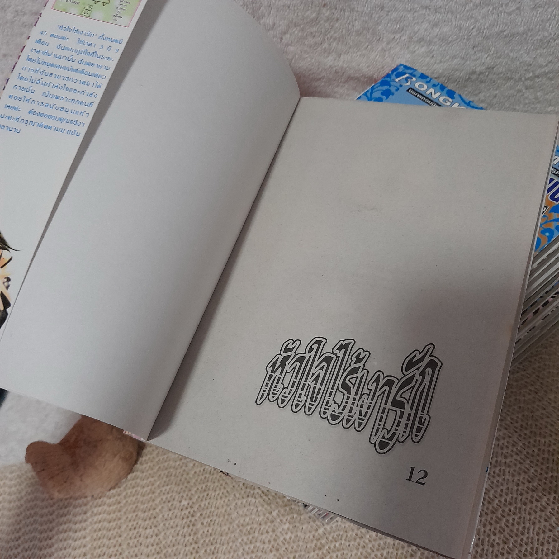 หัวใจไร้เงารัก 1-12 จบ