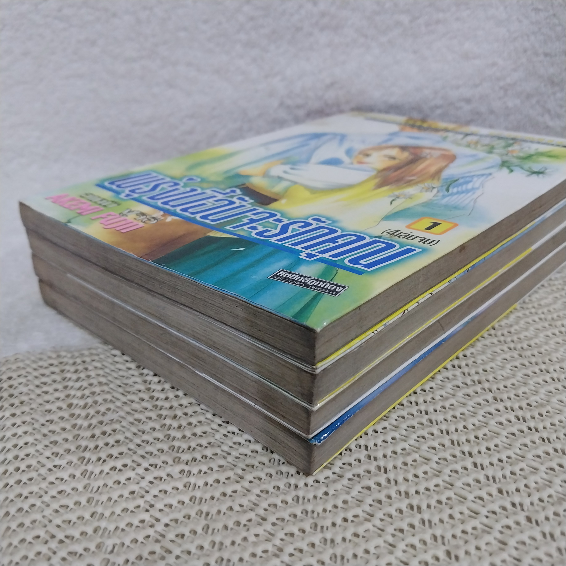 พรุ่งนี้ฉันจะรักคุณ 1-4 จบ