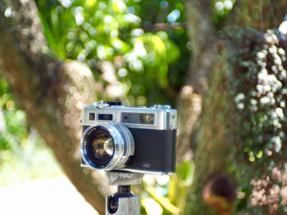 YASHICA ELECTRO 35 GS COLOR YASHINON-DX 45MM.1.7