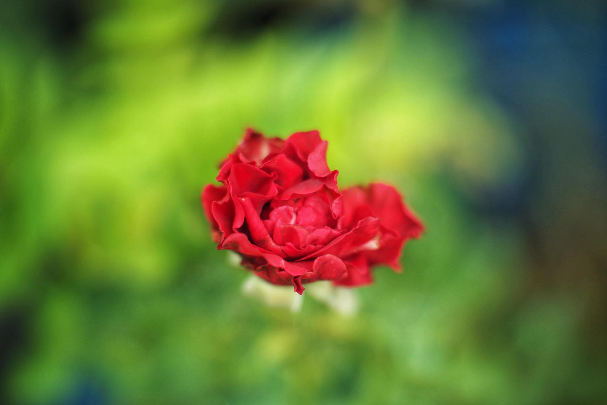 16KP-35MM.F1.2 MODIFLY M4/3 MOUNT