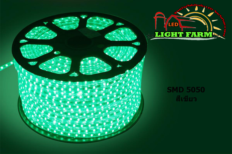 ไฟสายยาง SMD 5050 (50 m.) สีเขียว (ท่อแบน)