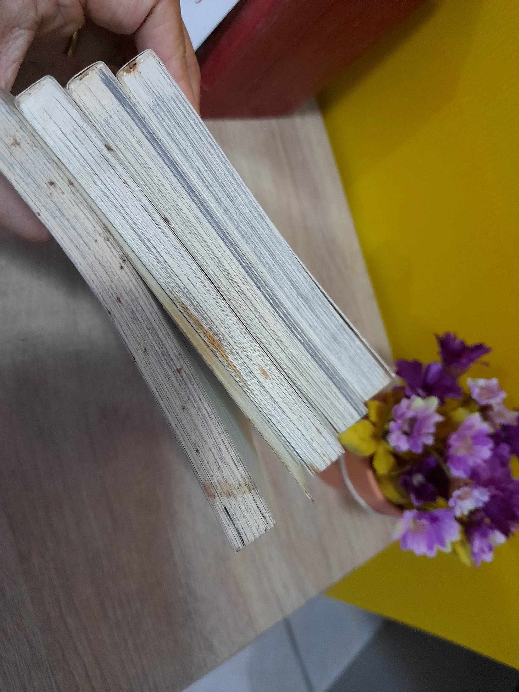 องค์ชายจิตป่วนกับน้องเหมียวยิ้มยาก 1-4 ไม่จบ / * ขาดเล่ม 5-8