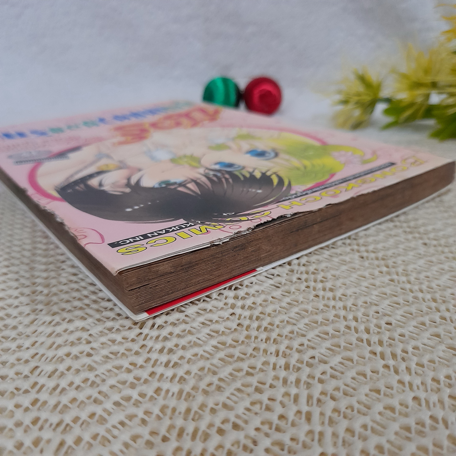 นัวร์ คุณเหมียวยอดรัก / Iisaka Yukako