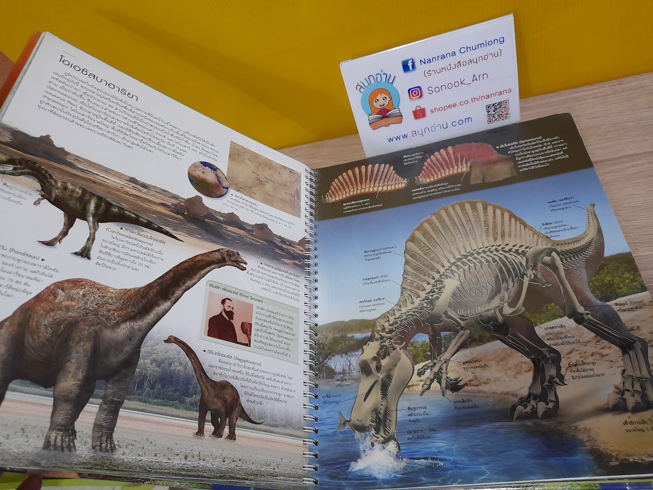 Dinosaur Atlas แผนที่ความรู้ไดโนเสาร์ มหัศจรรย์แห่งการเดินทางสู่โลกล้านปี