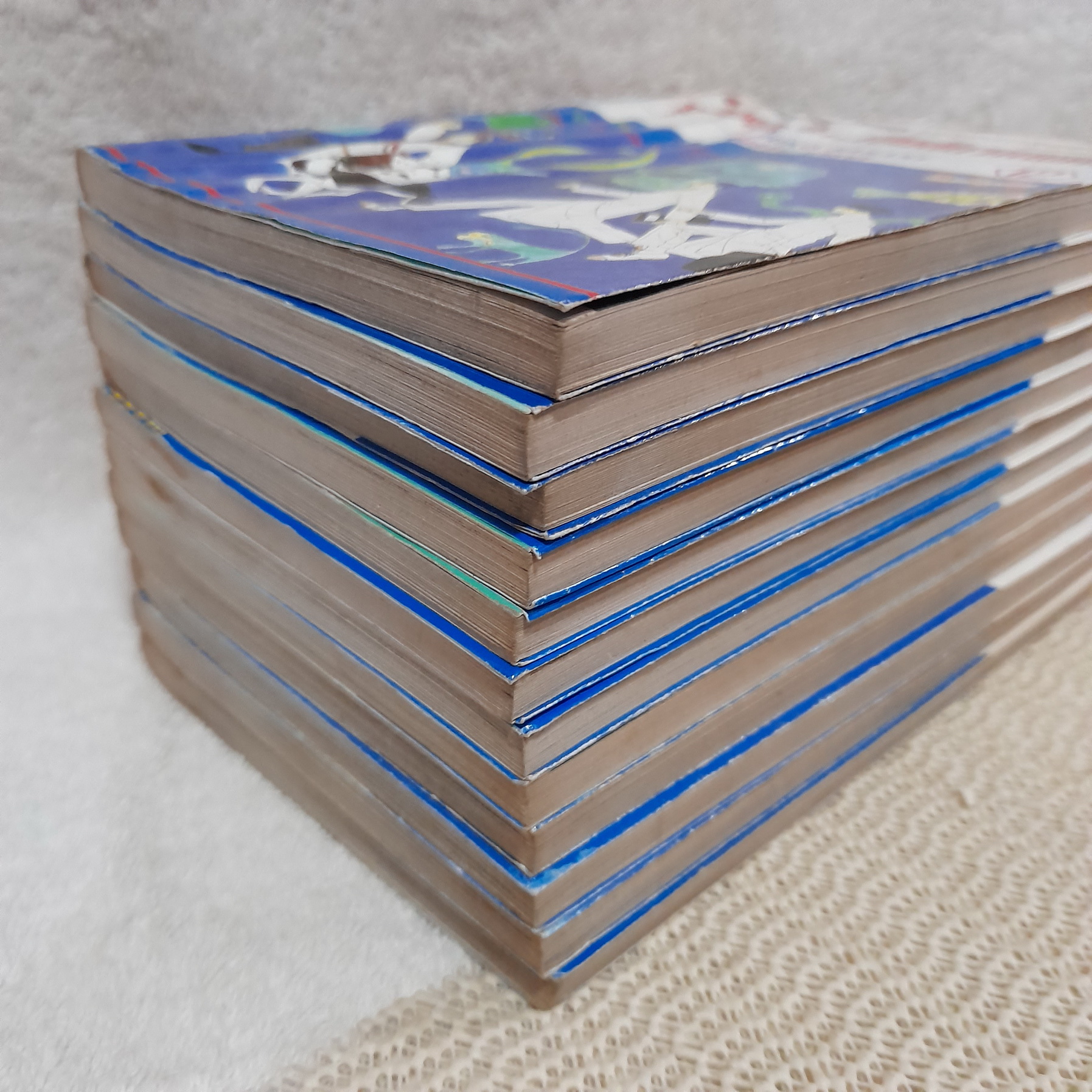 ยุ่งชะมัดเป็นสัตวแพทย์ 1-12 จบ / Noriko Sasaki
