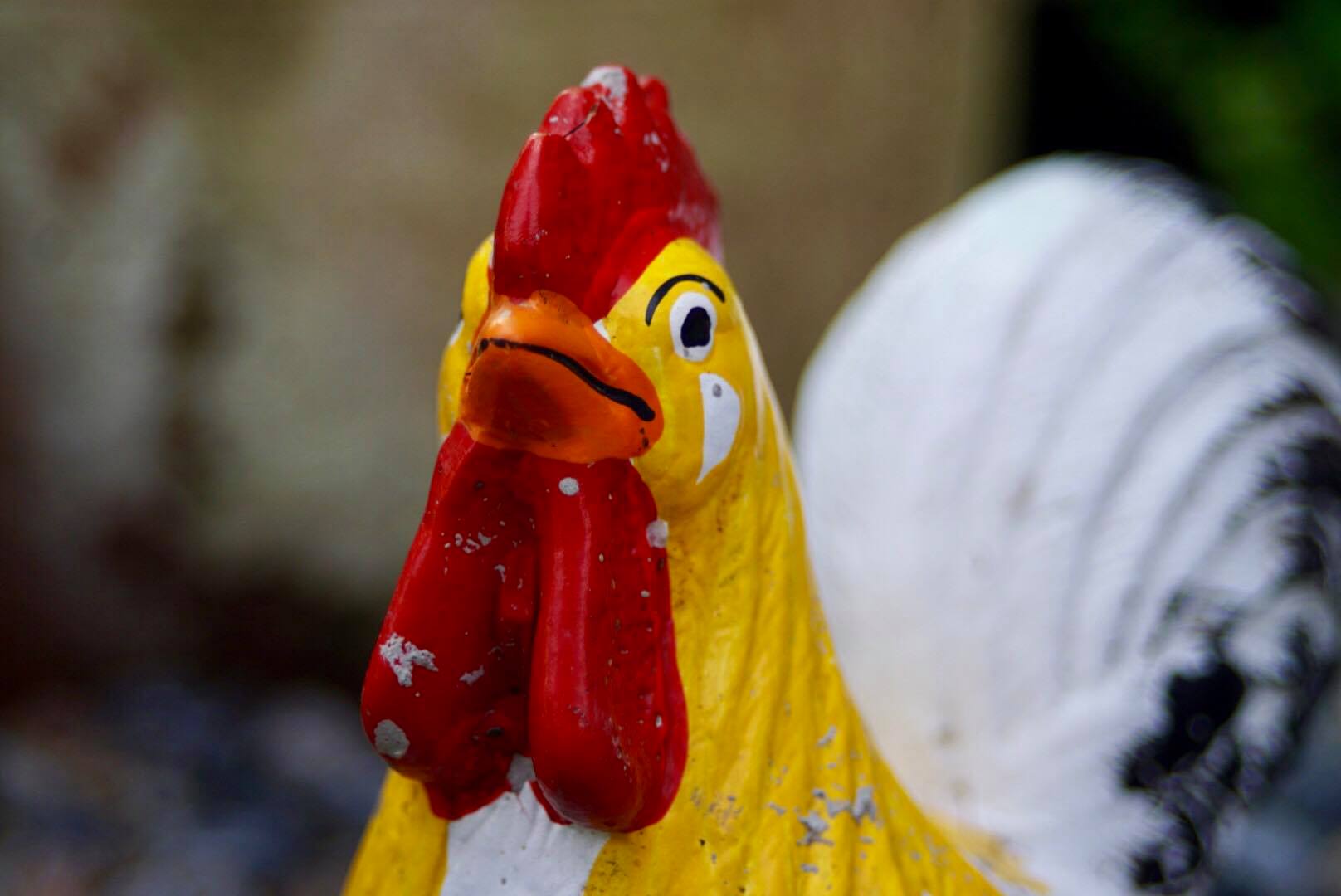 ﻿CANON ZOOM LENS FD 35-70MM.F3.5-4.5 MACRO FD MOUNT