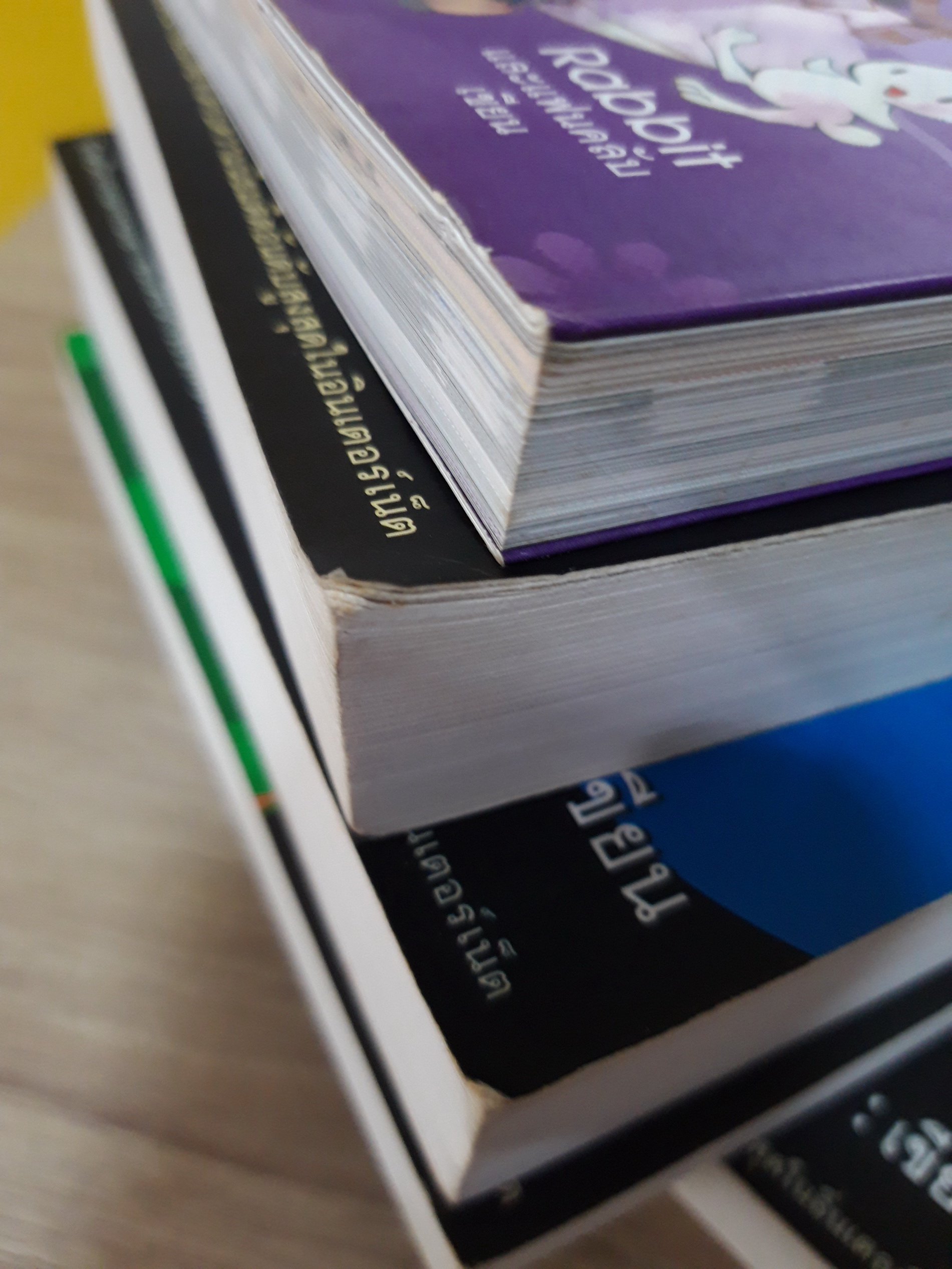 หัวขโมยแห่งบารามอส 4 เล่มจบ + The Perfect Guidebook / Rabbit