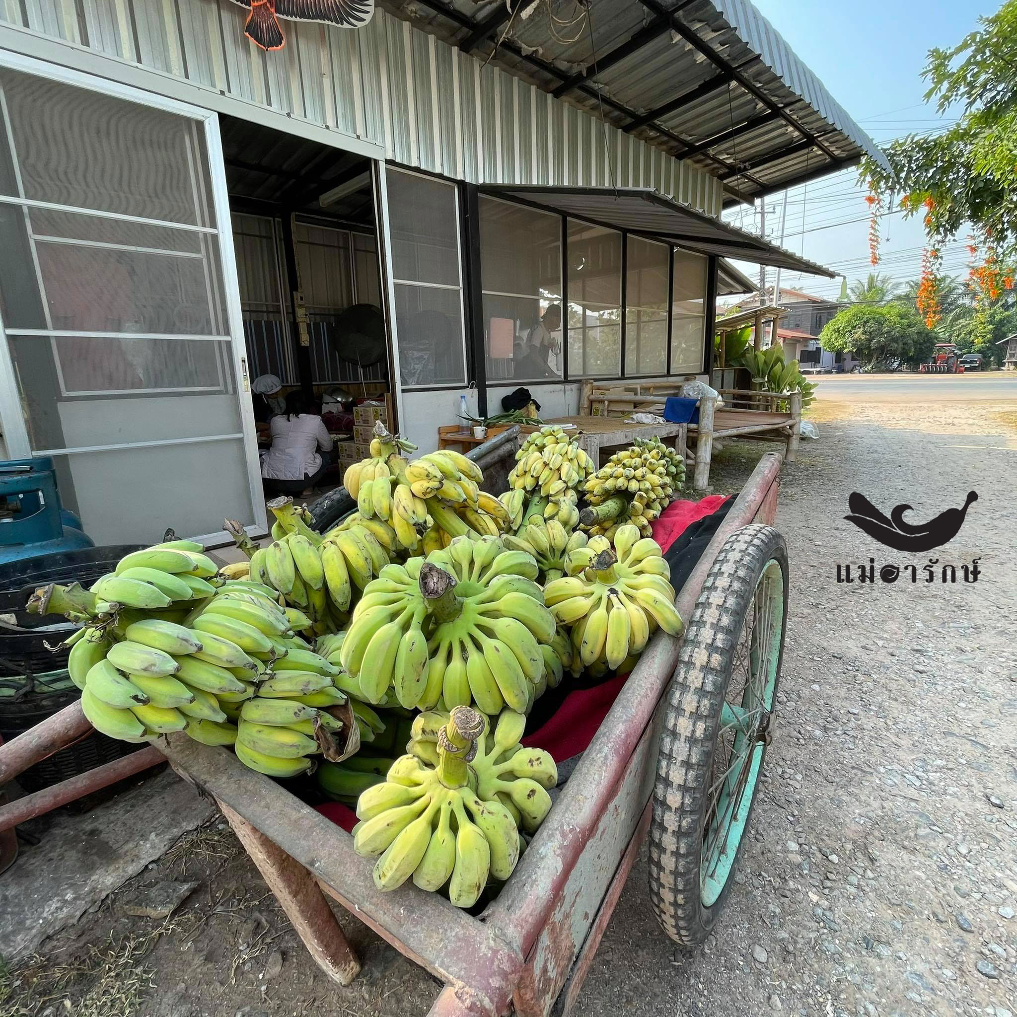 กล้วยฉาบหวาน (ดั้งเดิม) 230g.