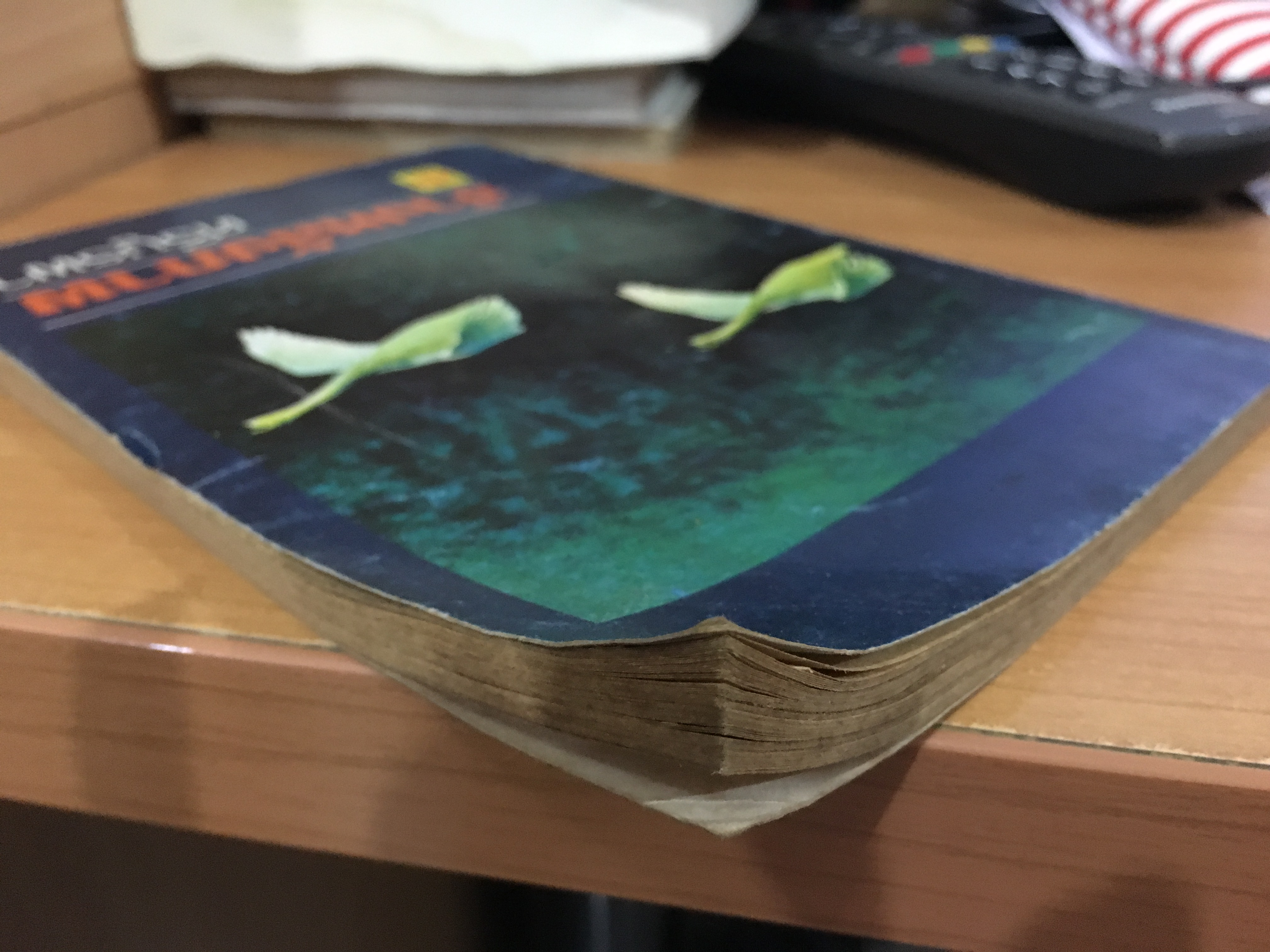 ข้างหลังภาพ / ศรีบูรพา / พิมพ์ปี 2522