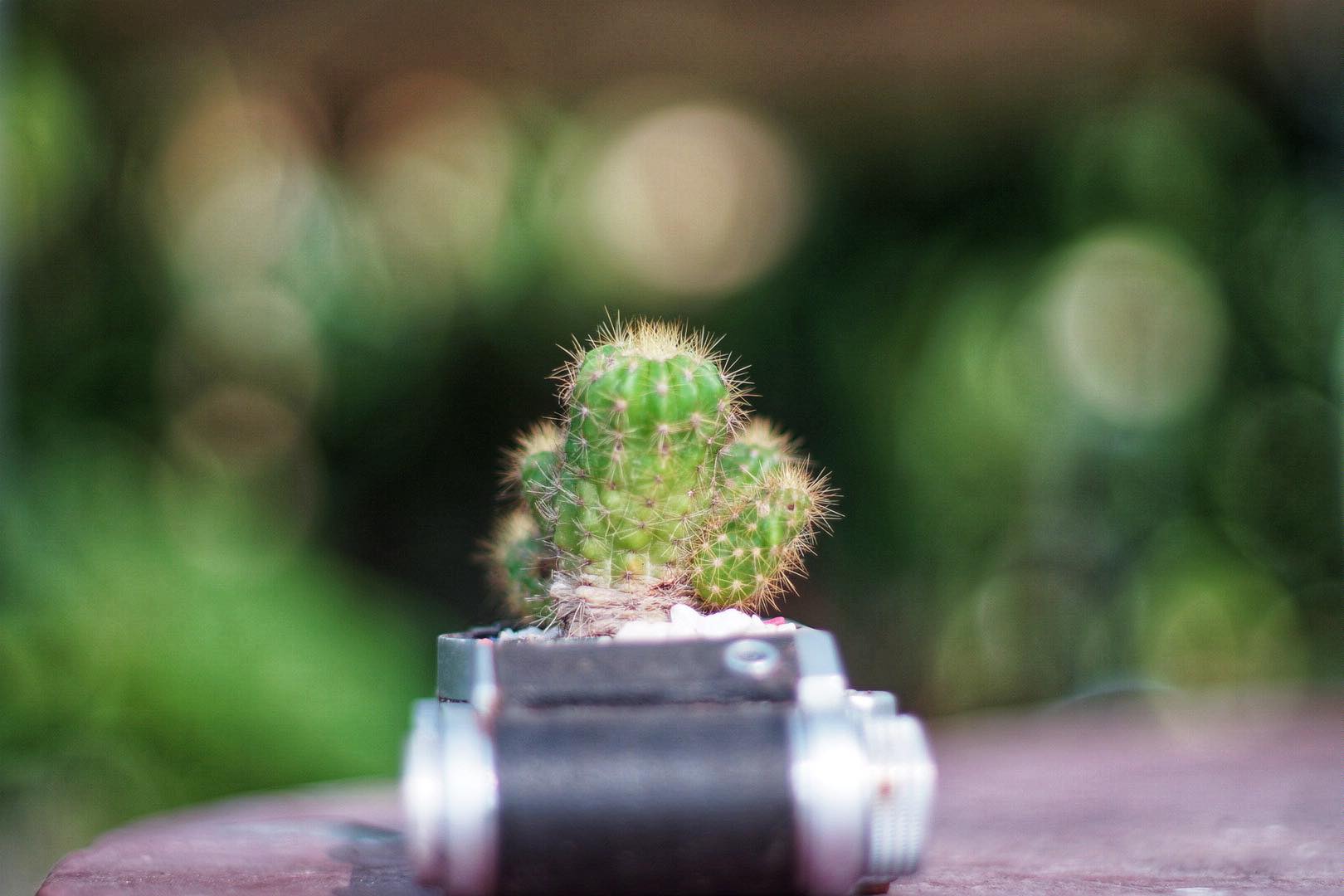 SMC TAKUMAR 50MM.F1.4 M42 MOUNT