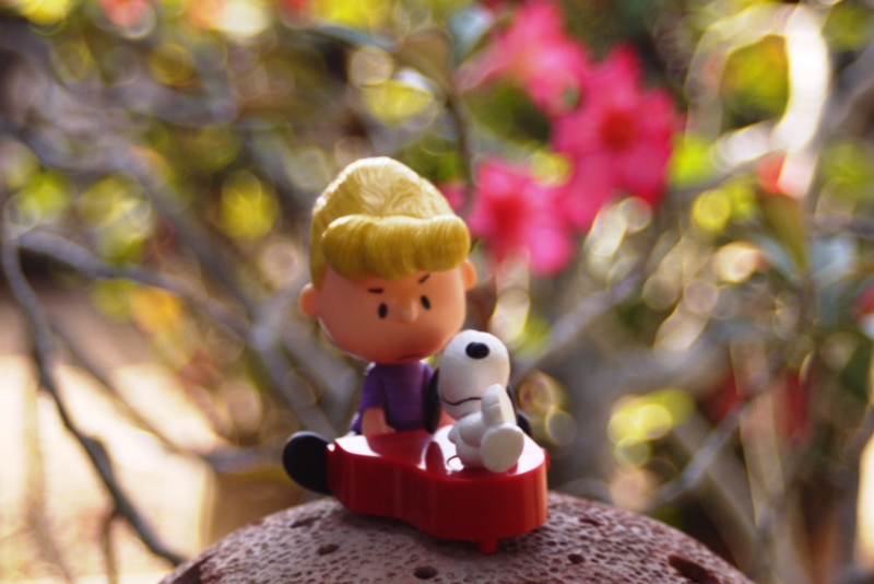 TOKINA AF 28-70MM.F2.8-4.5 NIKON / AIS MOUNT