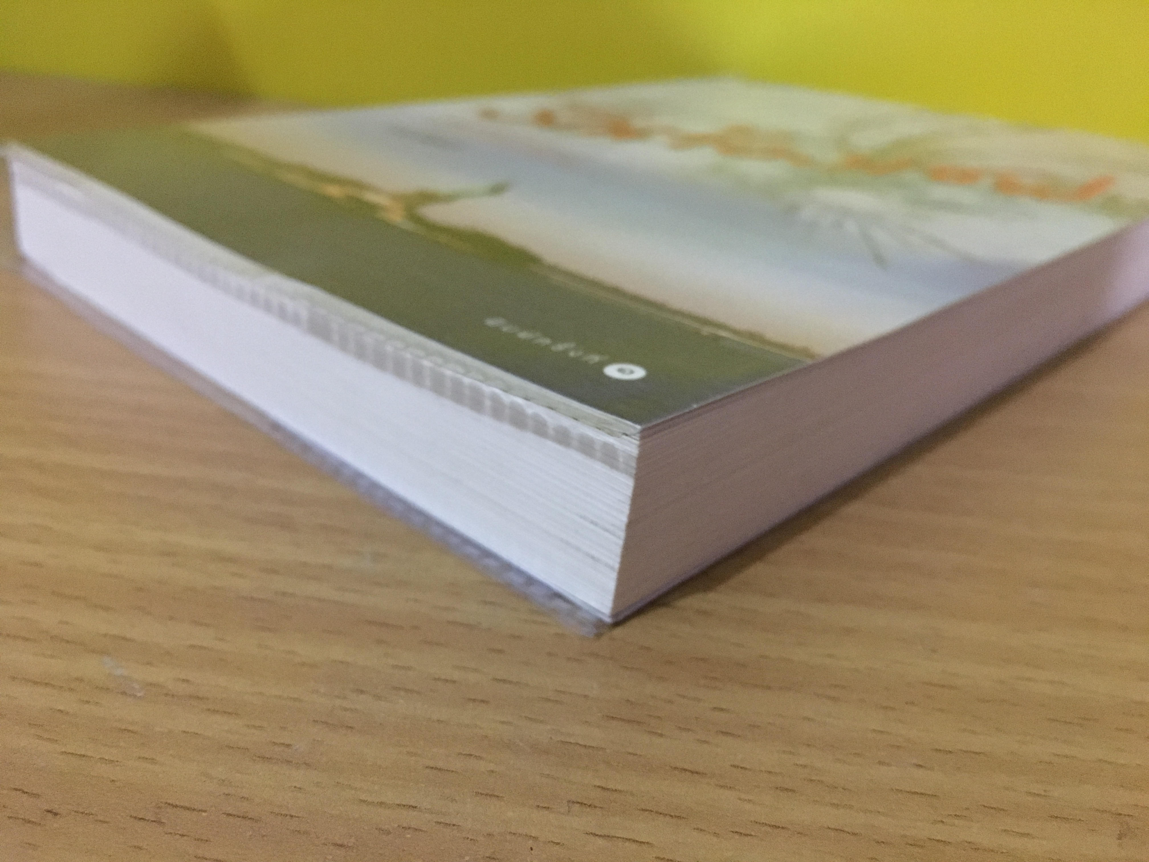 รักต้องเซฟ / ณกันต์