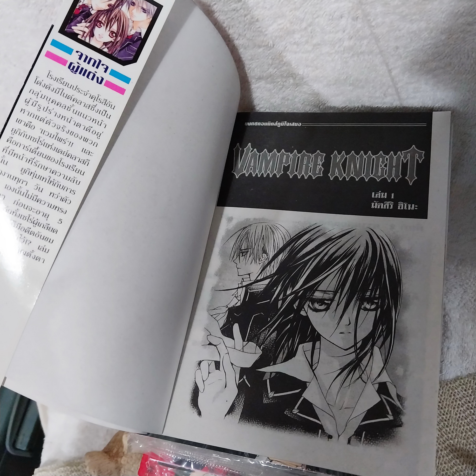 Vampire Knight 1-19 จบ