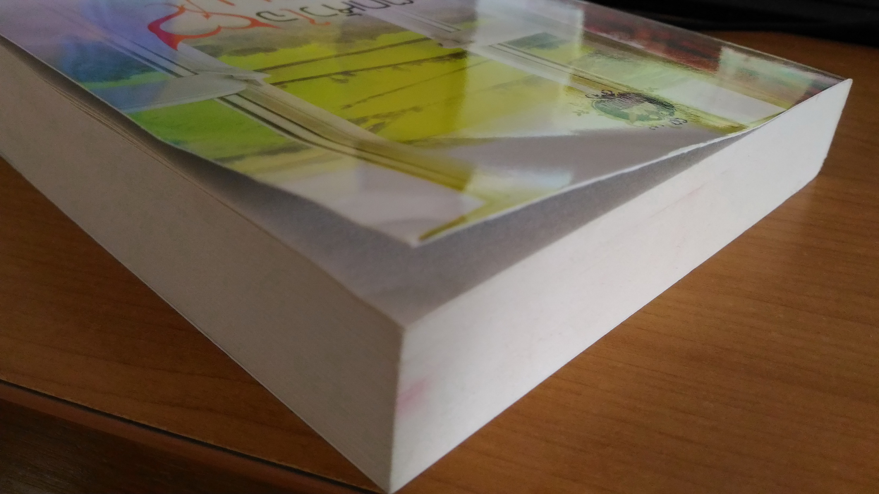 กระตุกหัวใจซาตาน / ฉัตรฤทัย