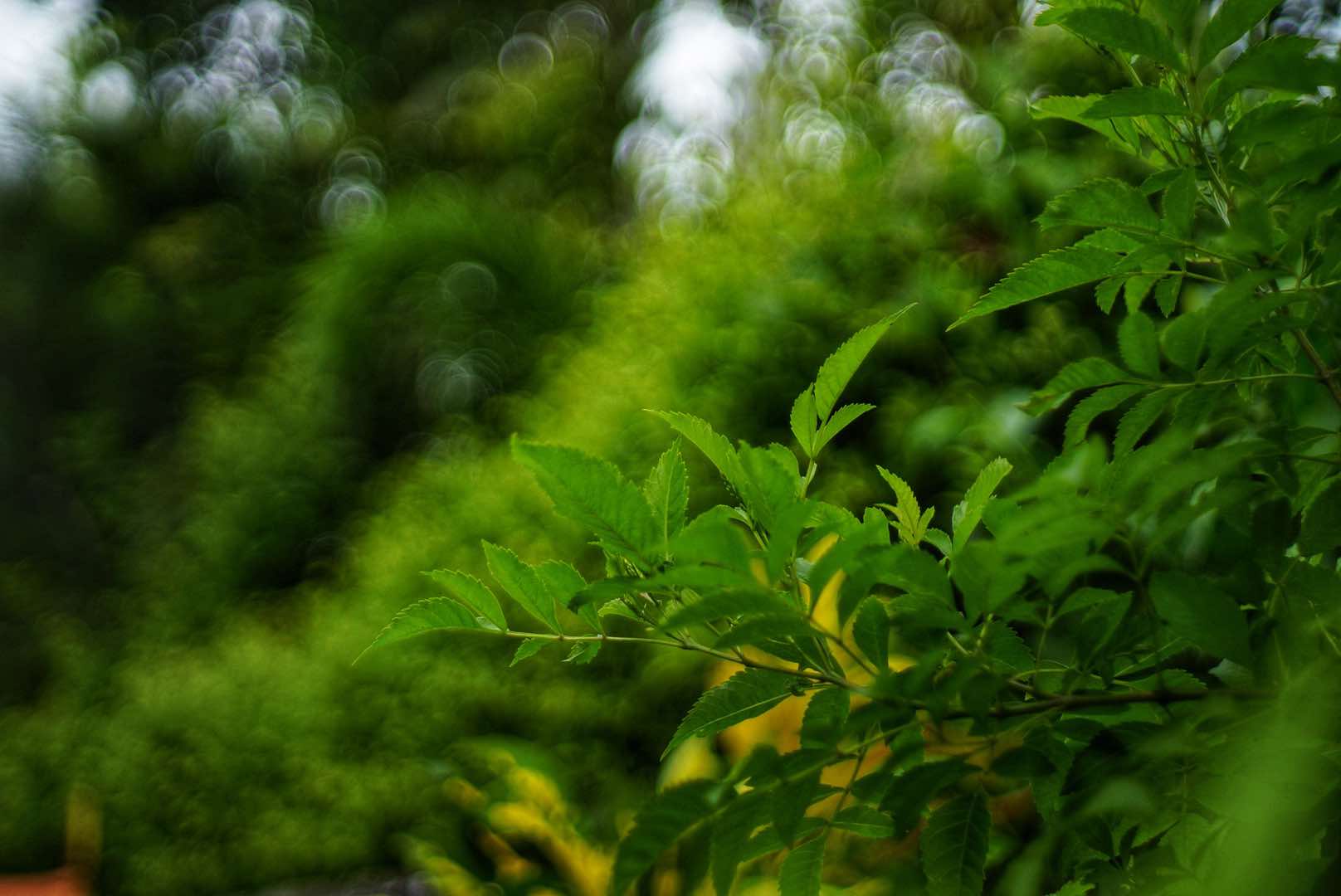 KONICA HEXANON 45MM.F1.6 MODIFIED M39 MOUNT