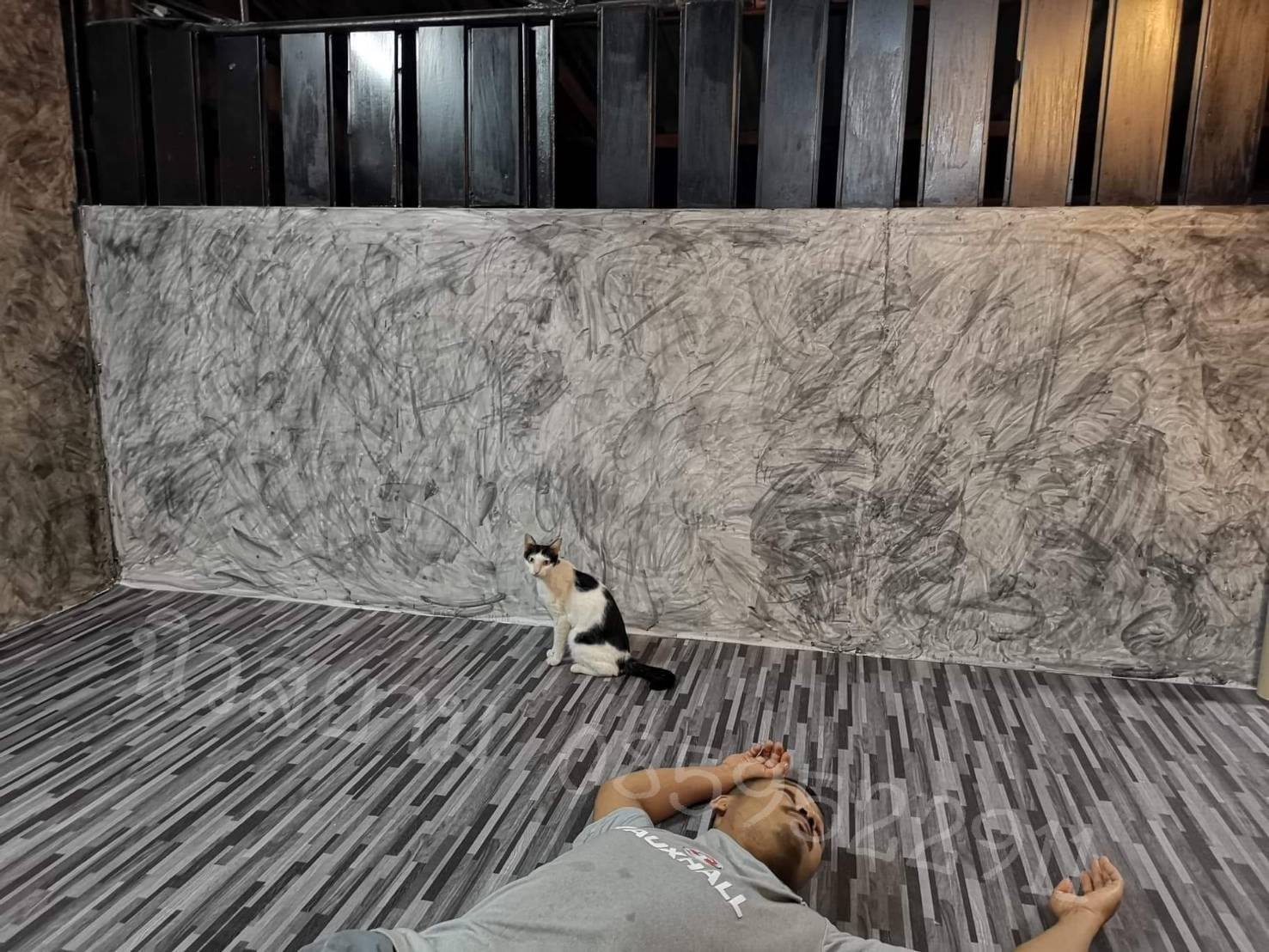 เสื่อน้ำมัน ลาย วันที่ 1 กรกฎาคม 2565