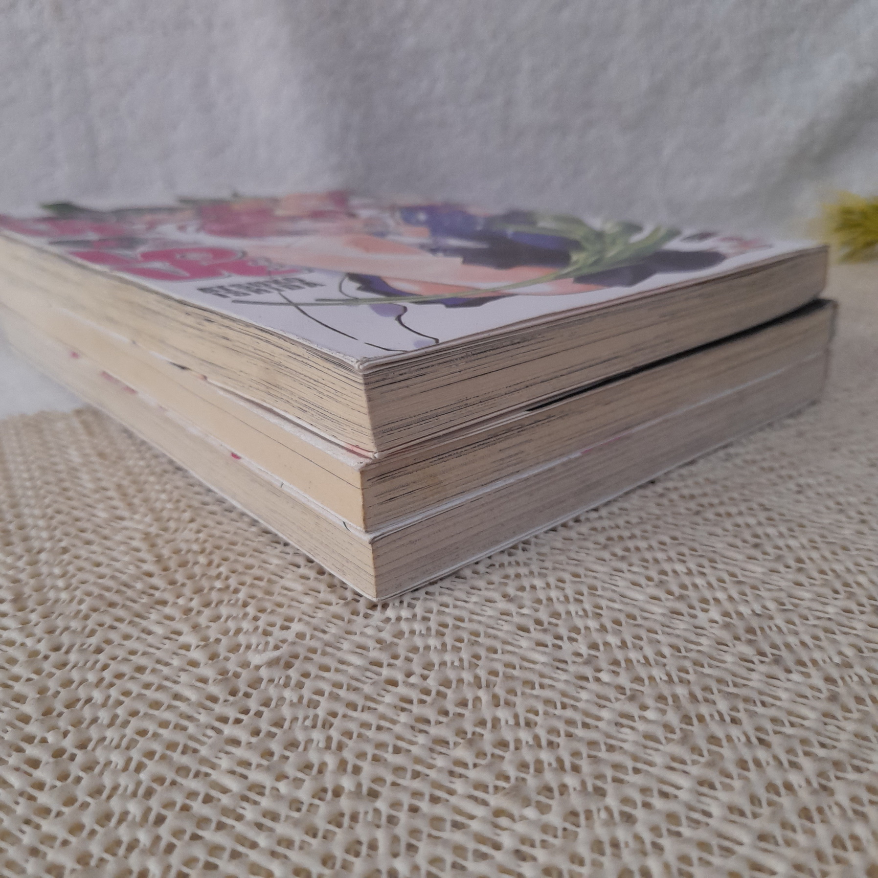 LOVE & LOVE วุ่นรักอลวน 1-3 จบ