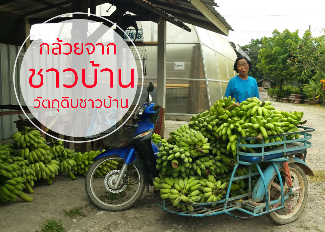 กล้วยทอด รสปาปริก้า (230g.)