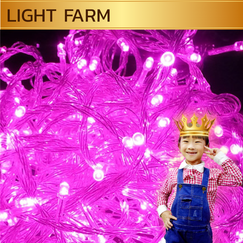 ไฟไม่กระพริบ LED สีชมพู ไฟประดับตกแต่ง