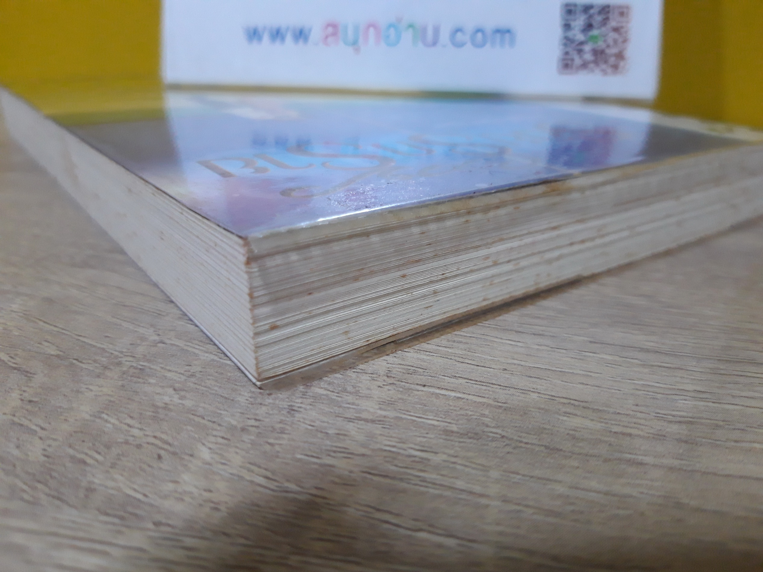 รอยรักร้าย / ประวาชิณี