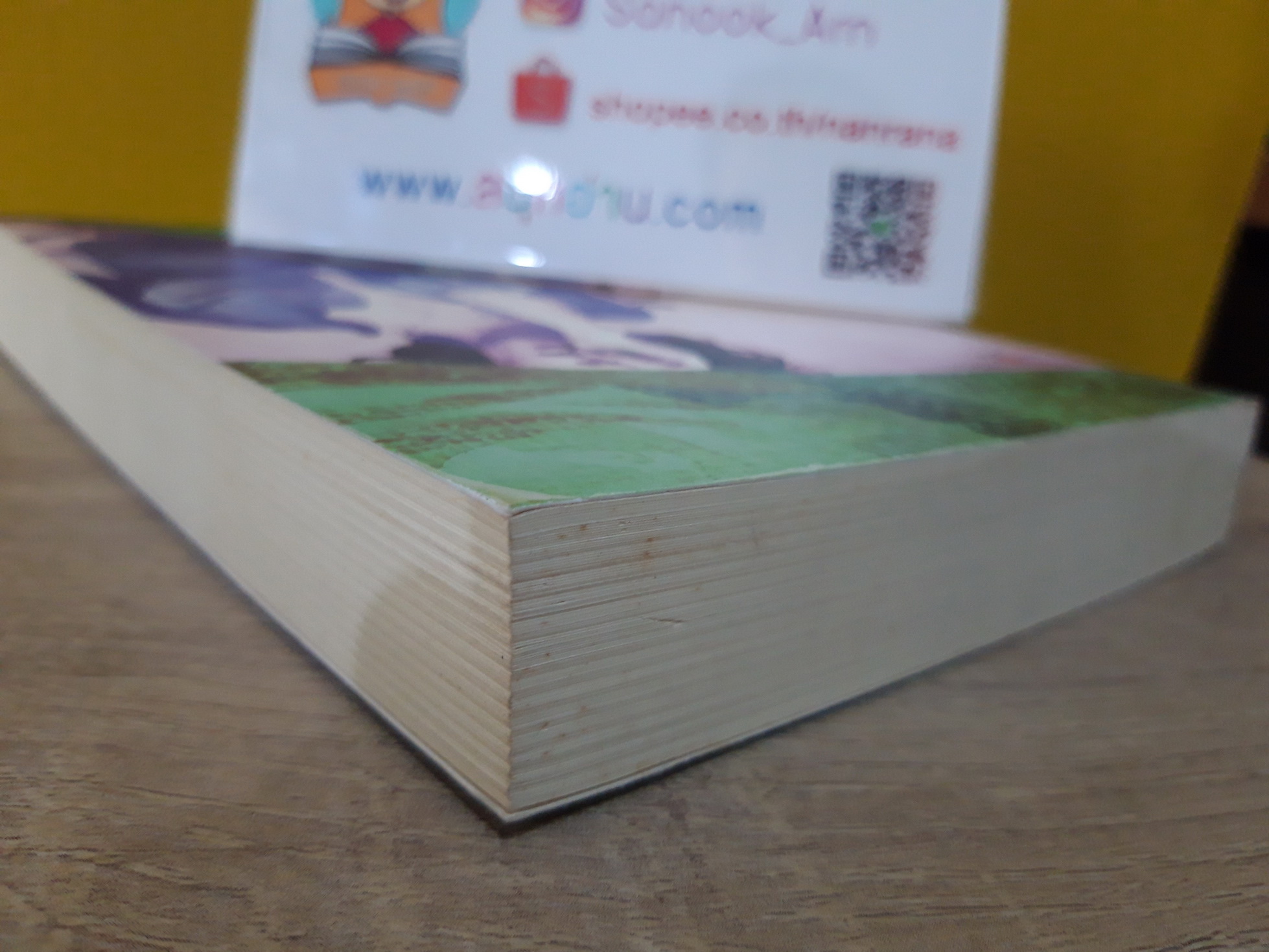 กลรักลวงใจ / ณารา