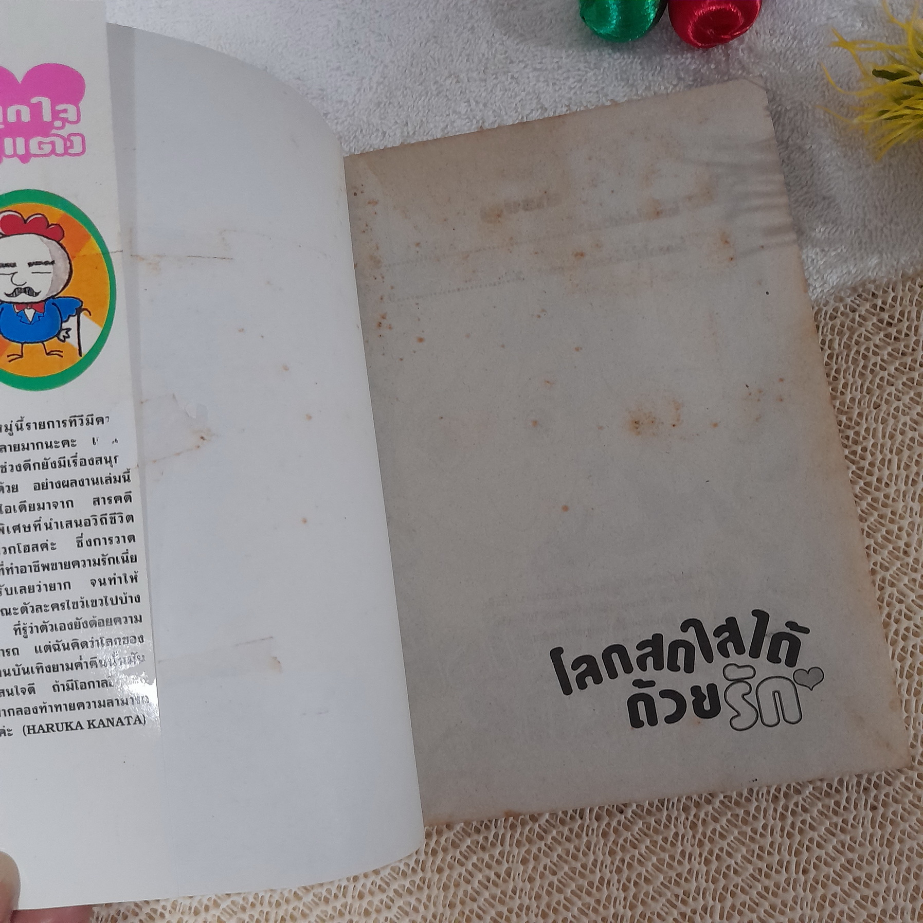 โลกสดใสได้ด้วยรัก / Haruka Kanata