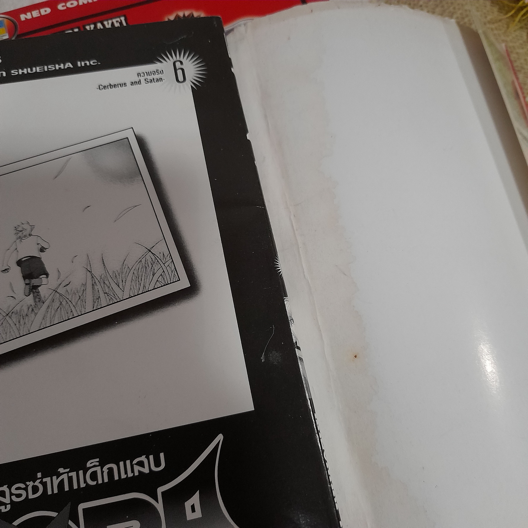 Nora อสูรซ่าท้าเด็กแสบ 1-9 (จบ)