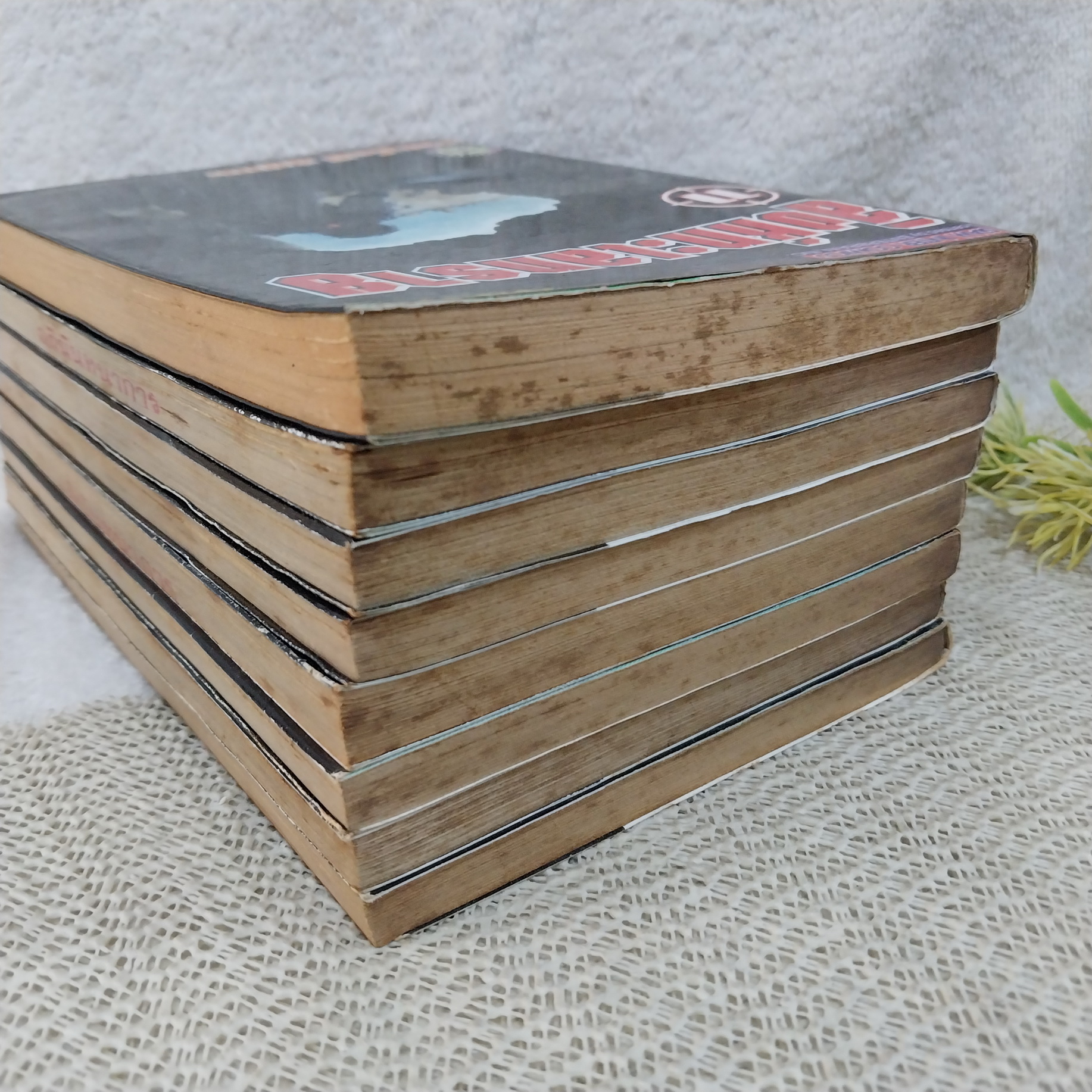 สิงห์ทะเลทราย 1-7,11 ไม่จบ