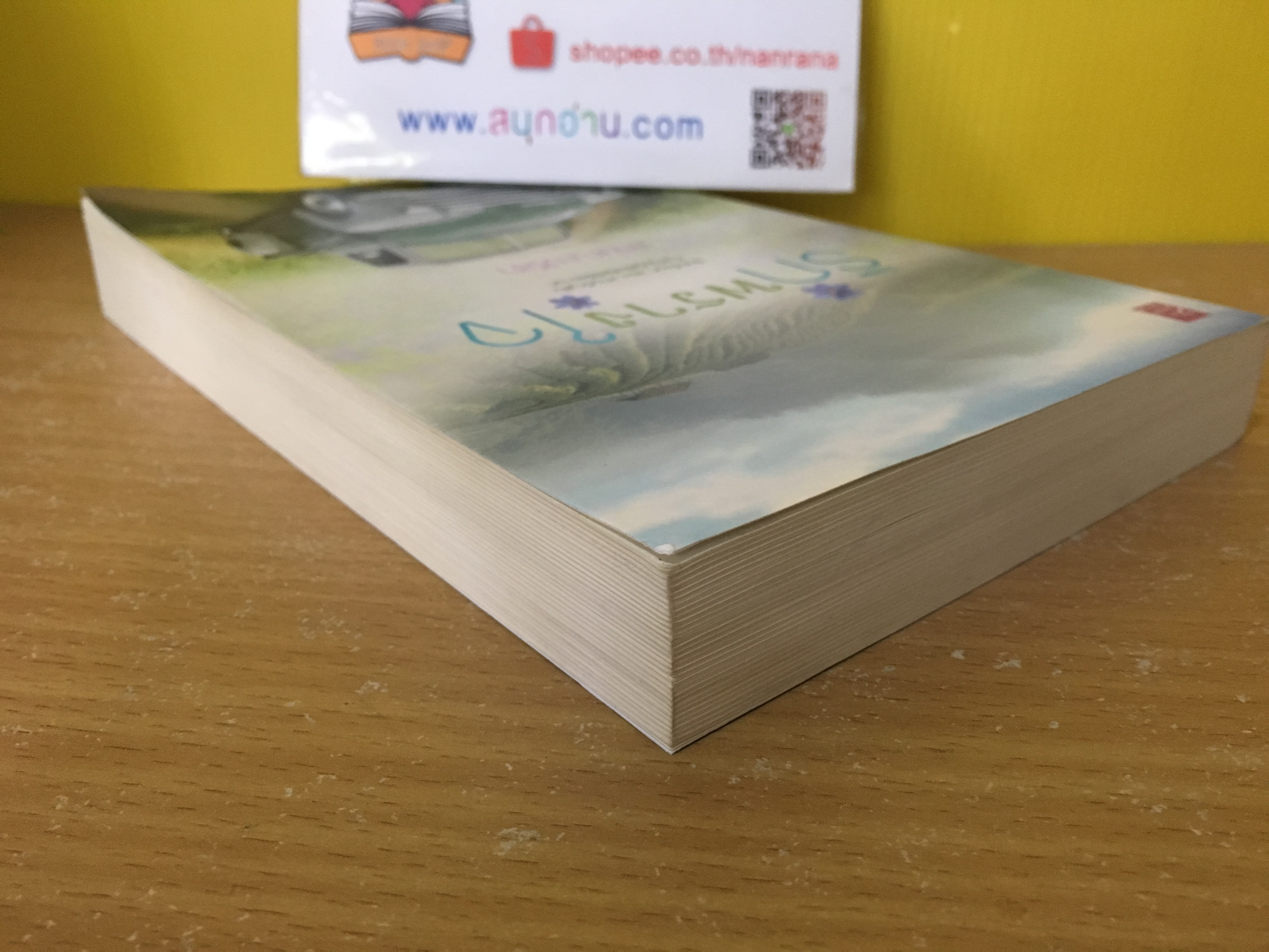 รักพรางใจ / ลักษณะปรีชา