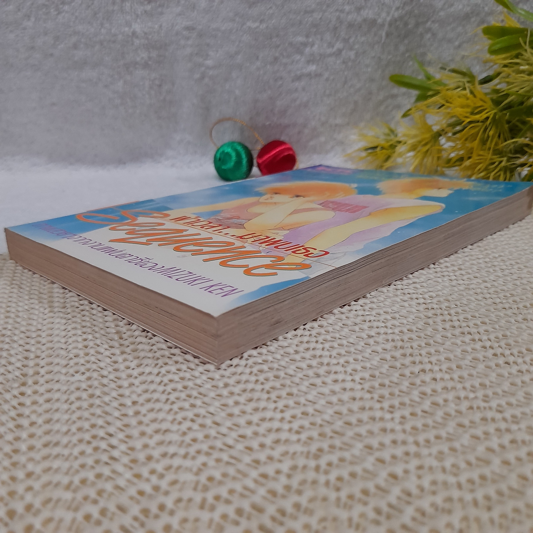 ฝ่าเวลามาพบเธอ / Mizuki Ken