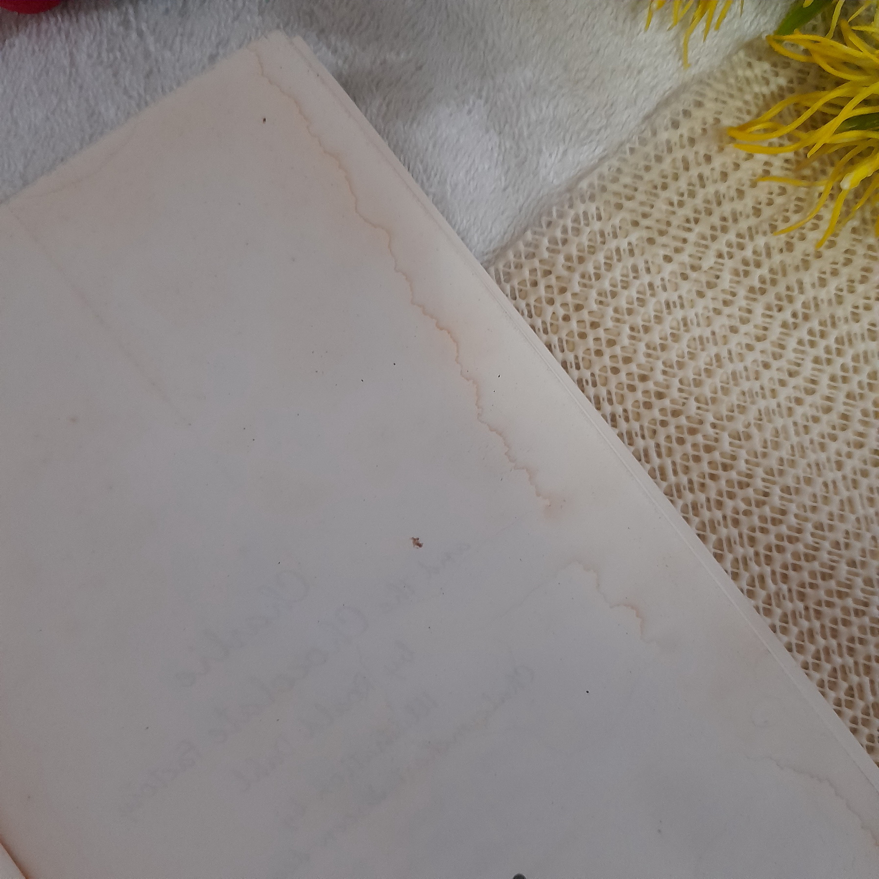 โรงงานช็อคโกแล็ต / โรอัลด์ ดาห์ล