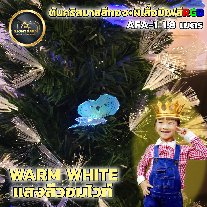 ต้นคริสต์มาส มีไฟ