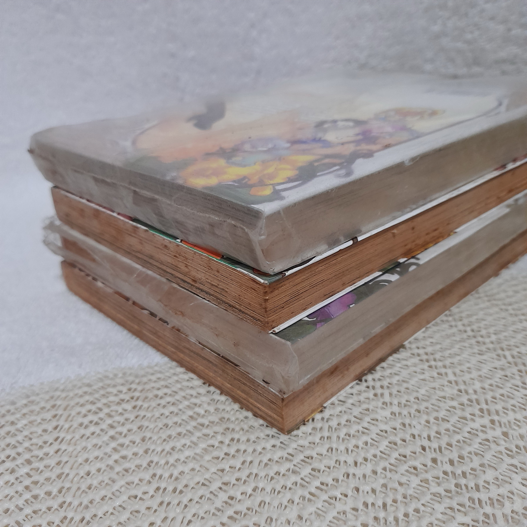 Stray Little Devil มารจริงๆ นะ 1-3,5 จบ / * ขาดเล่ม 4