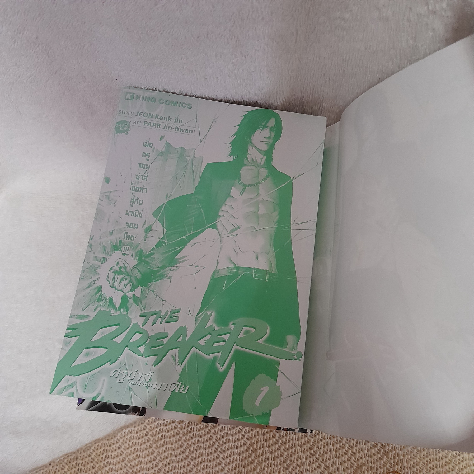 The Breaker ครูซ่าส์ขอท้าชนมาเฟีย 1-3,6-10 จบ / * ขาดเล่ม 4,5