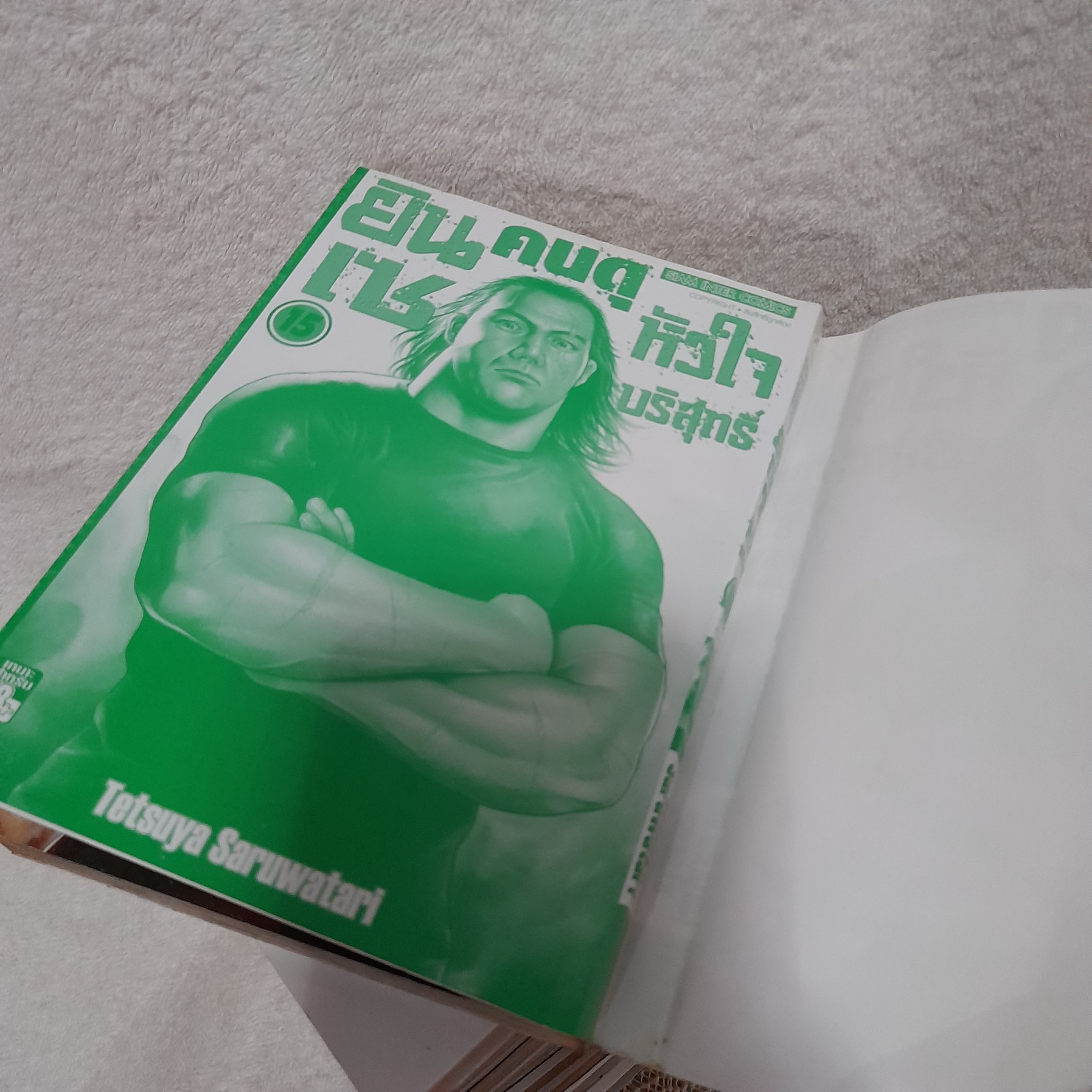 ยินเซ คนดุหัวใจบริสุทธิ์ เล่ม 1-15 จบ / * ขาดเล่ม 9,10