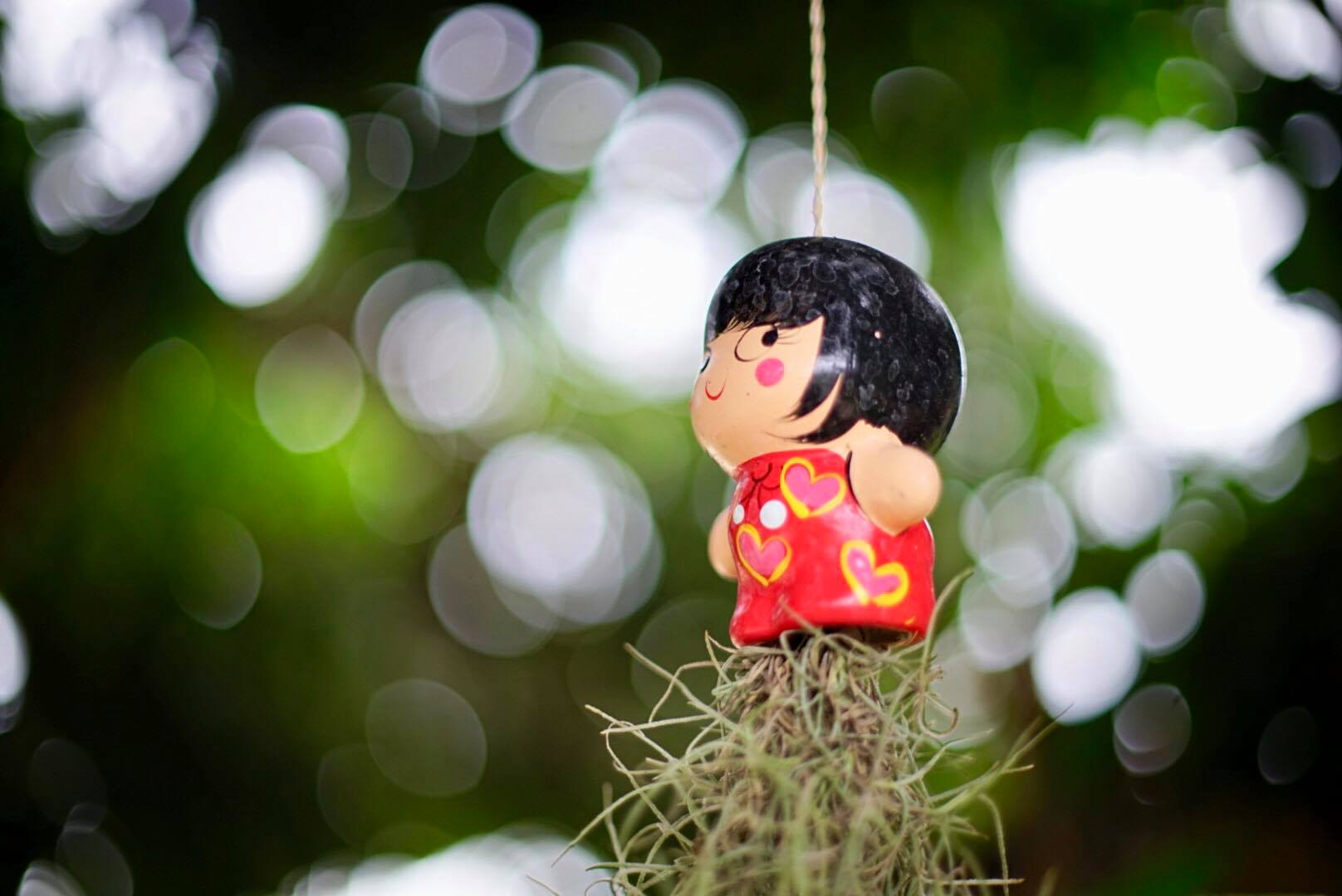 CANON LENS FD 50MM.F1.4 S.S.C. FD MOUNT