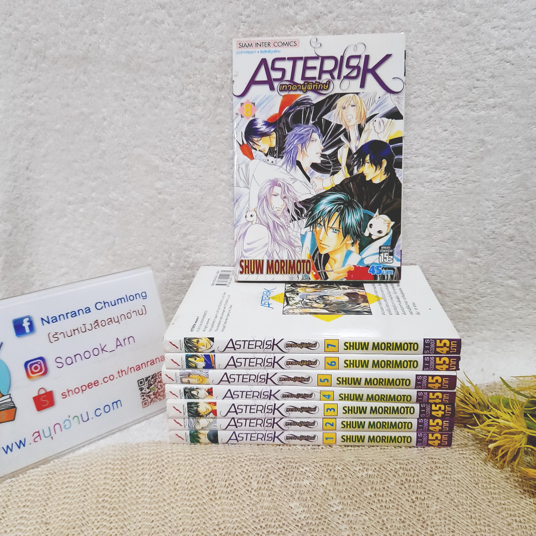 ASTERISK เทวดาผู้พิทักษ์ 1-8 จบ (การ์ตูน Y)